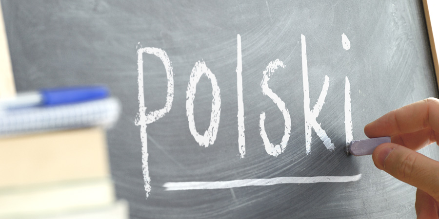 11 Key Facts about the Polish Language, Article